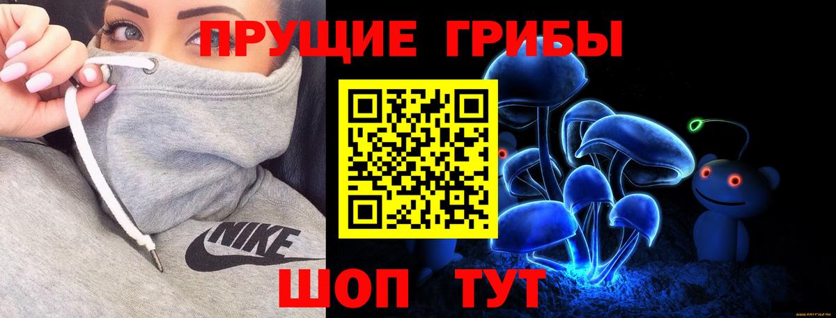 Псилоцибиновые грибы мицелий Нягань